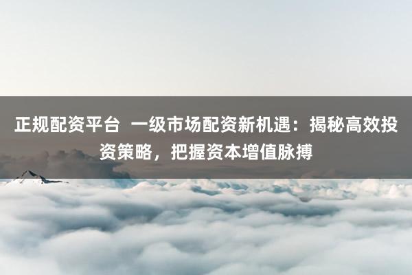 正规配资平台  一级市场配资新机遇：揭秘高效投资策略，把握资本增值脉搏