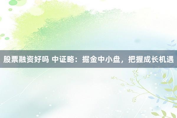 股票融资好吗 中证略：掘金中小盘，把握成长机遇
