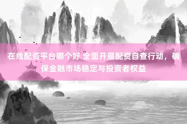 在线配资平台哪个好 全面开展配资自查行动，确保金融市场稳定与投资者权益