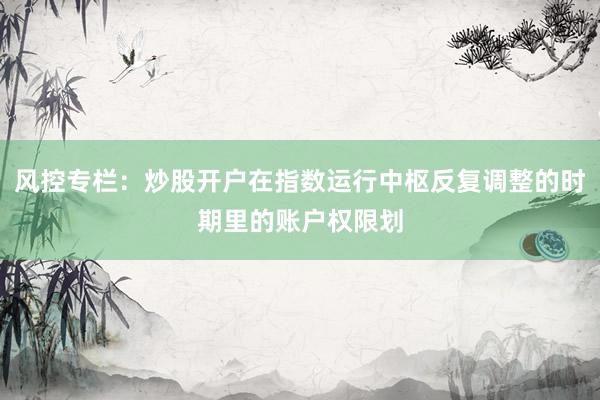 风控专栏：炒股开户在指数运行中枢反复调整的时期里的账户权限划