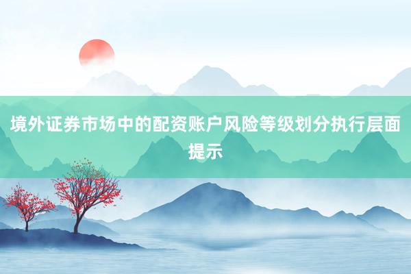 境外证券市场中的配资账户风险等级划分执行层面提示