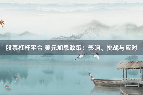 股票杠杆平台 美元加息政策：影响、挑战与应对